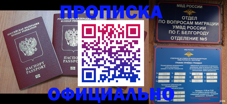 найти адрес прописки в Волгореченске